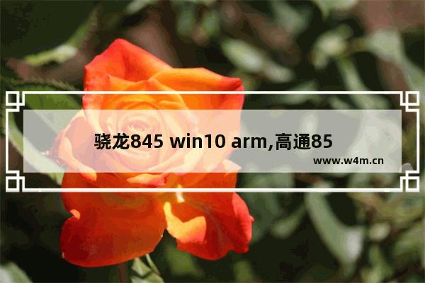 骁龙845 win10 arm,高通855 win10