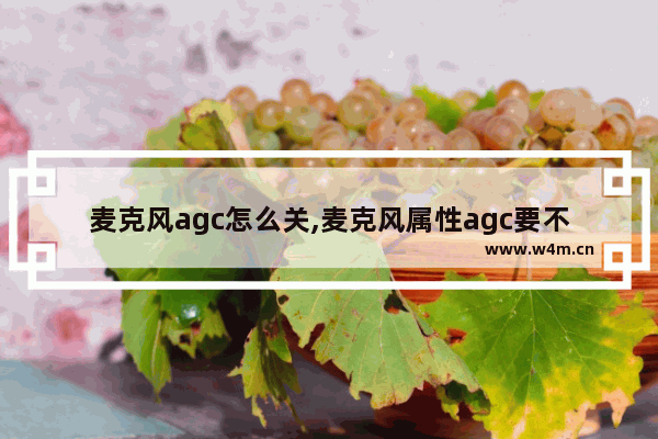 麦克风agc怎么关,麦克风属性agc要不要开