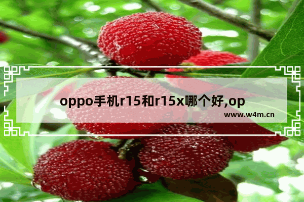 oppo手机r15和r15x哪个好,oppo r15和oppo r15x有什么区别