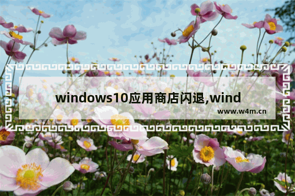 windows10应用商店闪退,windows应用商店闪退