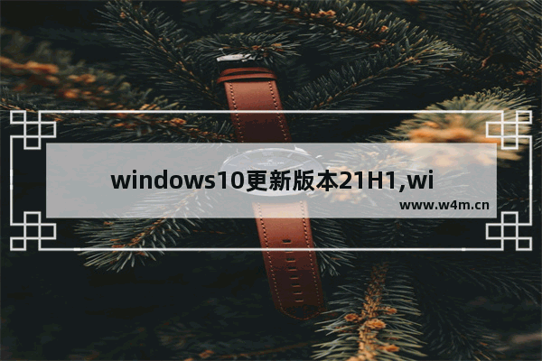 windows10更新版本21H1,win10更新19%