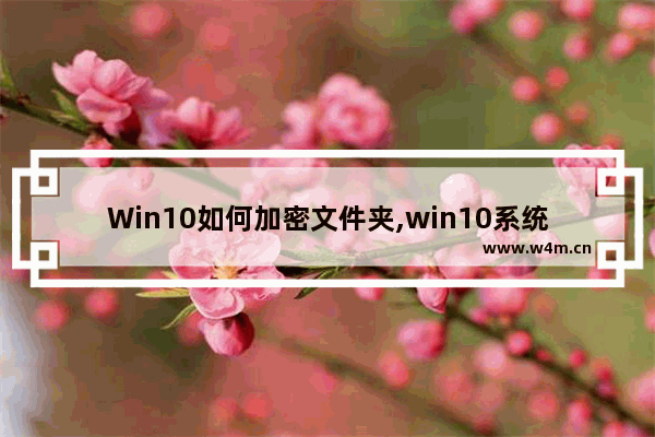 Win10如何加密文件夹,win10系统文件夹怎么加密