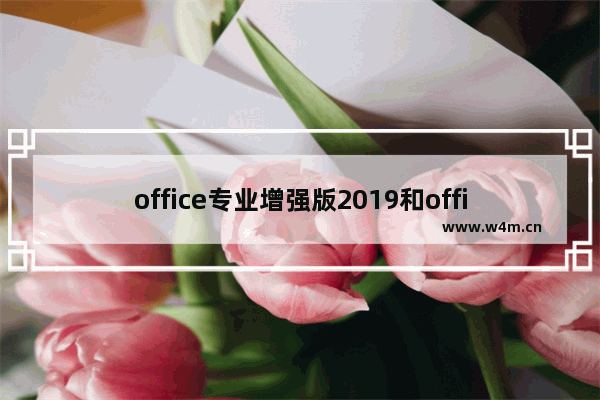 office专业增强版2019和office365,office2019专业增强版和office365区别