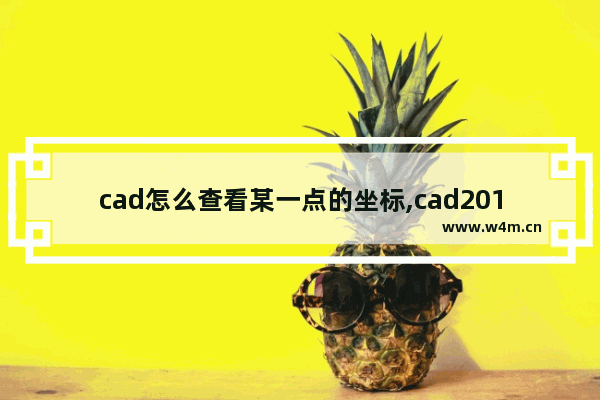 cad怎么查看某一点的坐标,cad2014怎么查看坐标