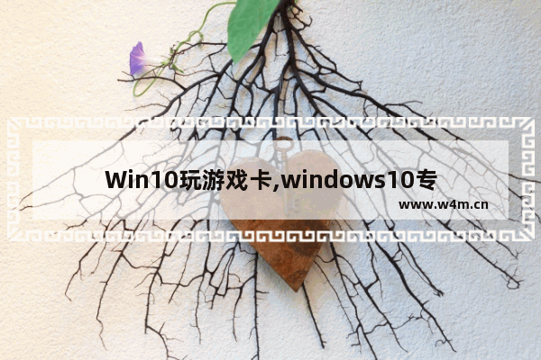 Win10玩游戏卡,windows10专业版玩游戏卡怎么办