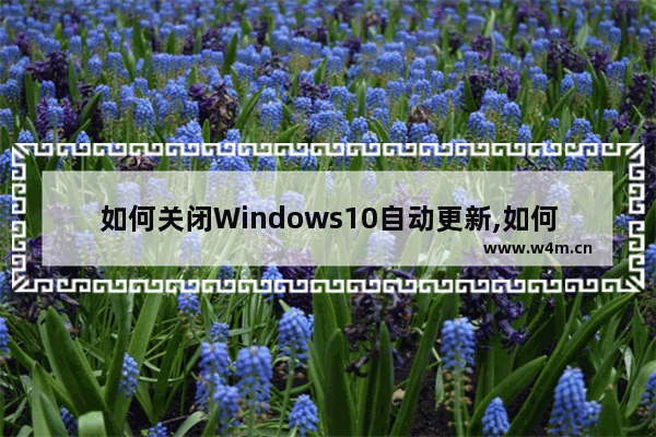 如何关闭Windows10自动更新,如何完全关闭win10自动更新