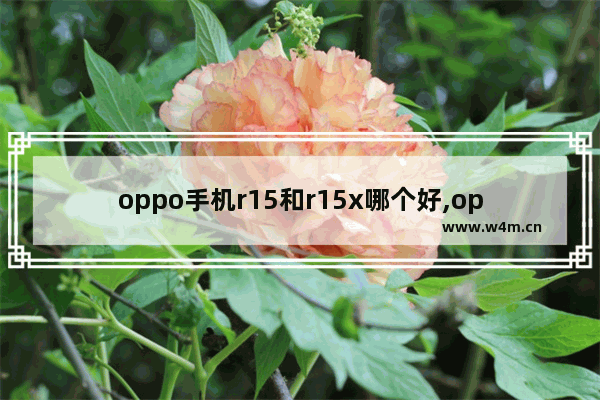 oppo手机r15和r15x哪个好,oppo r15和oppo r15x有什么区别