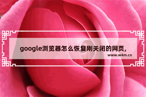 google浏览器怎么恢复刚关闭的网页,chrome浏览器恢复上一个关掉的网页_1