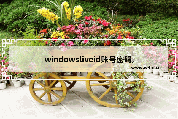 windowsliveid账号密码,