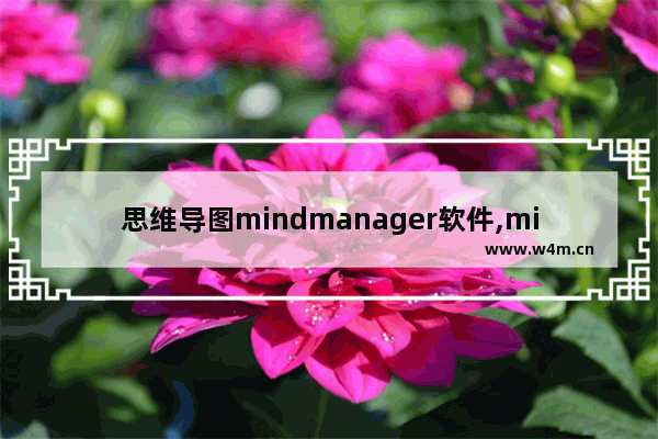 思维导图mindmanager软件,mind思维导图使用教程