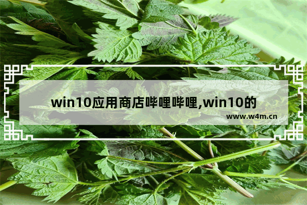 win10应用商店哔哩哔哩,win10的微软商店