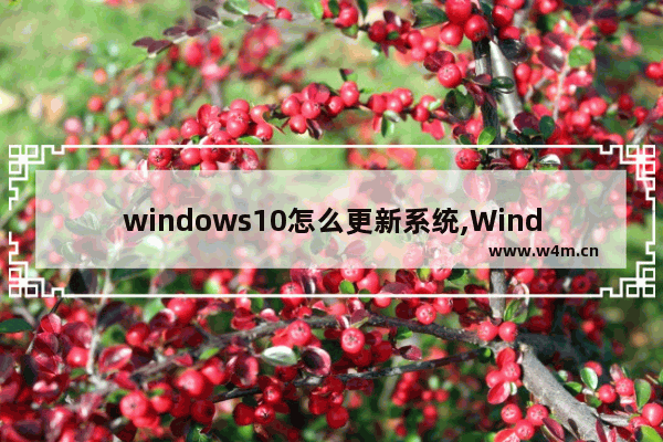 windows10怎么更新系统,Windows10系统怎么升级