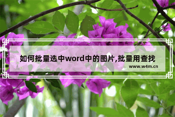 如何批量选中word中的图片,批量用查找替换设置图片居中_1