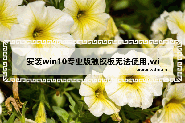 安装win10专业版触摸板无法使用,win10触摸板禁用后怎么恢复