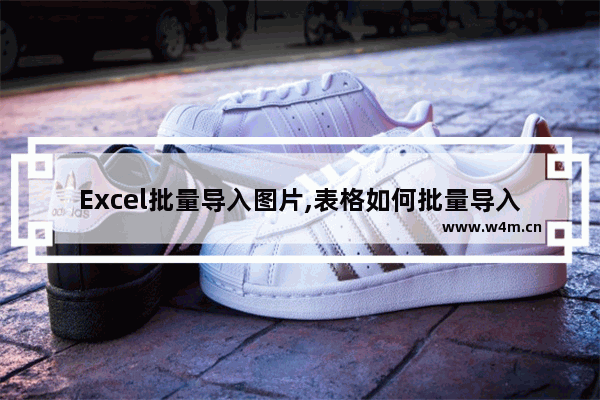 Excel批量导入图片,表格如何批量导入图片