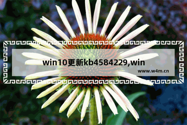 win10更新kb4584229,win10更新kb4592438_3