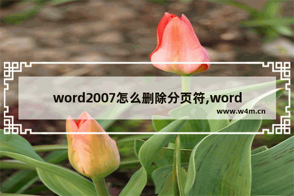 word2007怎么删除分页符,word怎么去掉分页符怎么删除