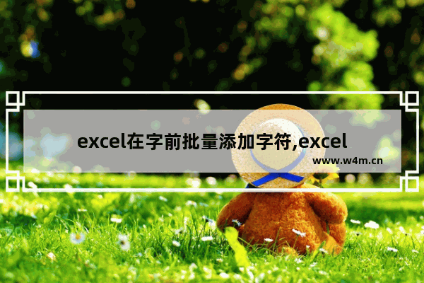 excel在字前批量添加字符,excel单元格增加字段