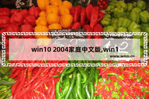 win10 2004家庭中文版,win10安装2005