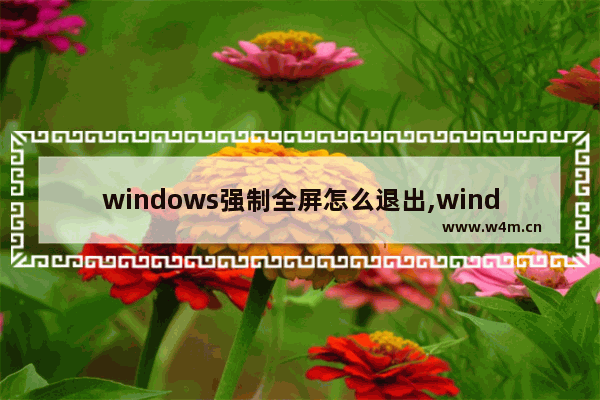 windows强制全屏怎么退出,windows游戏退出全屏