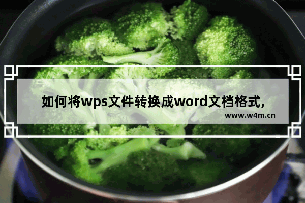 如何将wps文件转换成word文档格式,wps office格式怎么转换成word