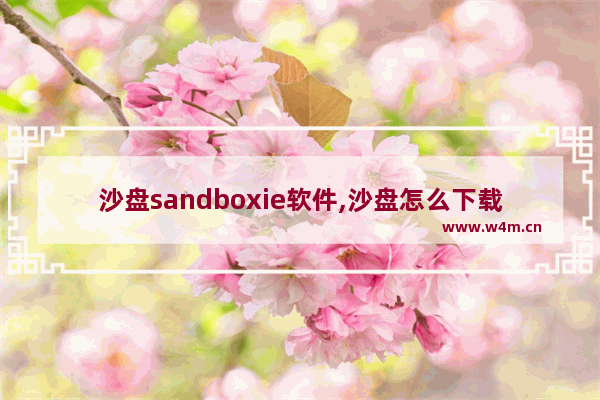 沙盘sandboxie软件,沙盘怎么下载安装和使用