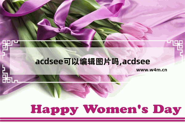 acdsee可以编辑图片吗,acdsee怎么编辑图片大小