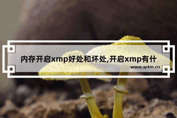 内存开启xmp好处和坏处,开启xmp有什么好处