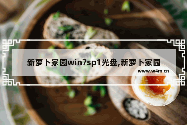 新萝卜家园win7sp1光盘,新萝卜家园win7系统光盘安装教程图解