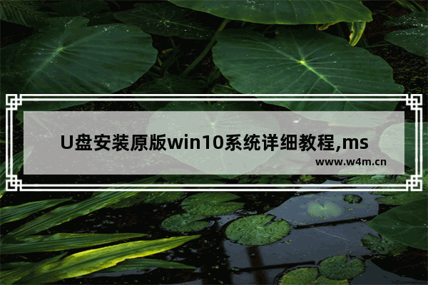 U盘安装原版win10系统详细教程,msdn我告诉你怎么安装到u盘