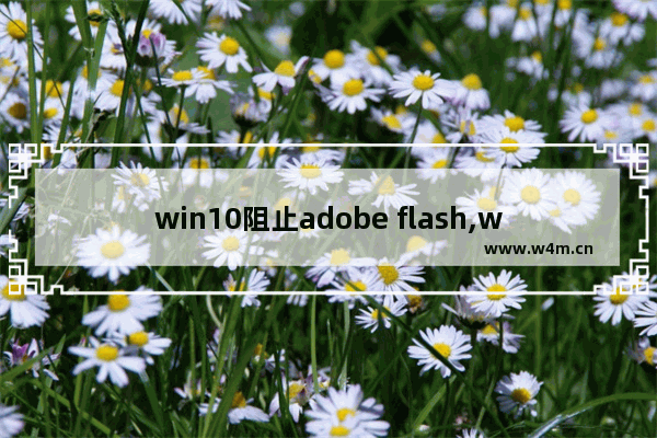 win10阻止adobe flash,win10无法删除flashplayer-删除项时出错