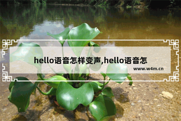 hello语音怎样变声,hello语音怎么玩求教