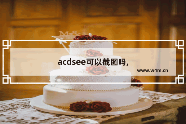 acdsee可以截图吗,