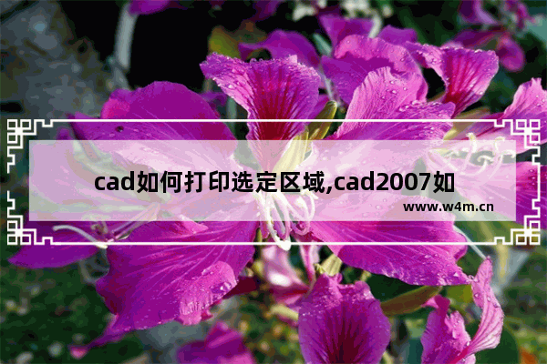 cad如何打印选定区域,cad2007如何打印选定区域