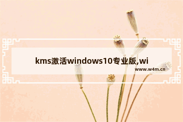 kms激活windows10专业版,win10 KMS激活工具