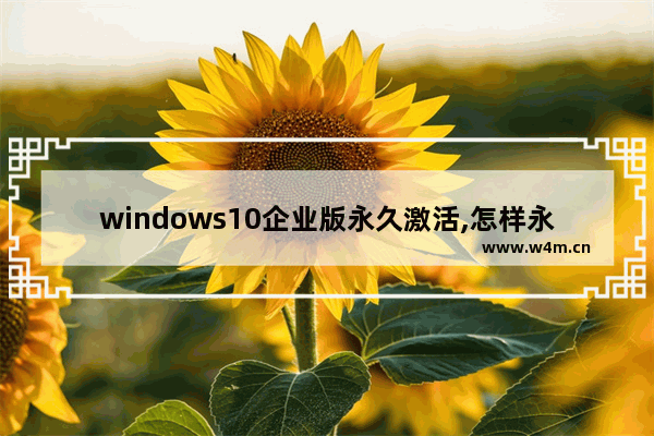 windows10企业版永久激活,怎样永久激活win10企业版