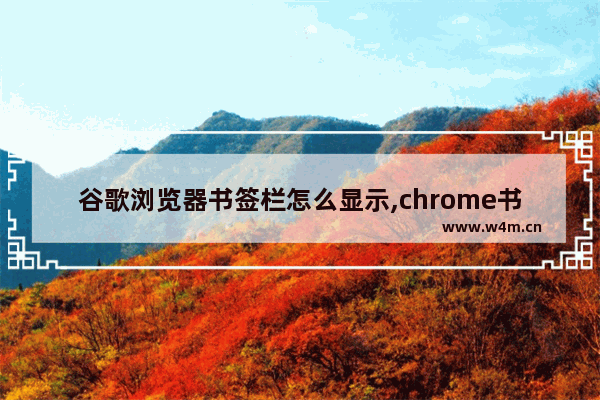 谷歌浏览器书签栏怎么显示,chrome书签栏自动隐藏