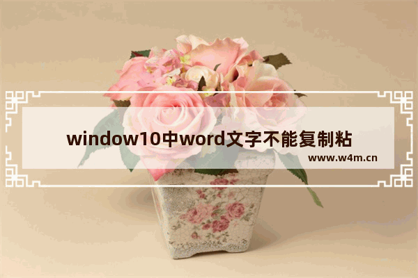 window10中word文字不能复制粘贴,网页版无法复制文字