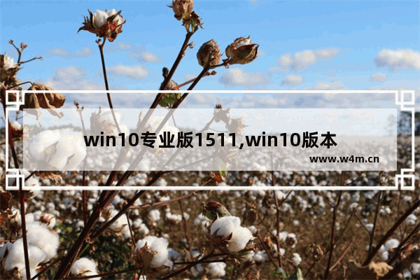 win10专业版1511,win10版本1511升级1803