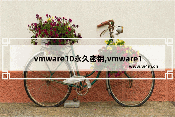 vmware10永久密钥,vmware15密钥