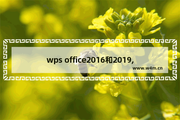 wps office2016和2019,wps office是2016还是2019好