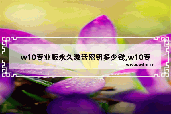 w10专业版永久激活密钥多少钱,w10专业版永久激活密钥序列号