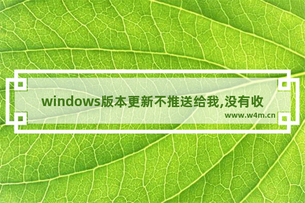 windows版本更新不推送给我,没有收到windows11更新推送