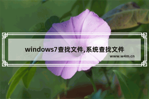 windows7查找文件,系统查找文件