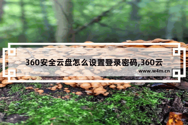 360安全云盘怎么设置登录密码,360云盘密码怎么更改