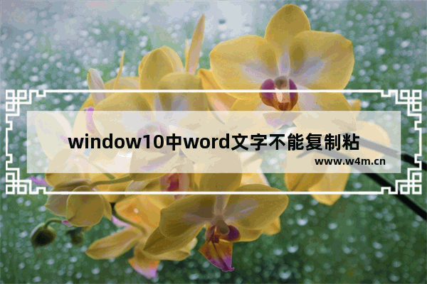 window10中word文字不能复制粘贴,网页版无法复制文字