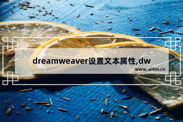 dreamweaver设置文本属性,dw段落格式怎么设置