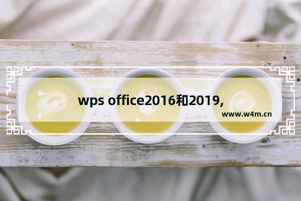 wps office2016和2019,wps office是2016还是2019好