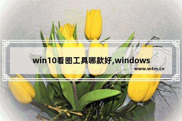 win10看图工具哪款好,windows最好的看图软件