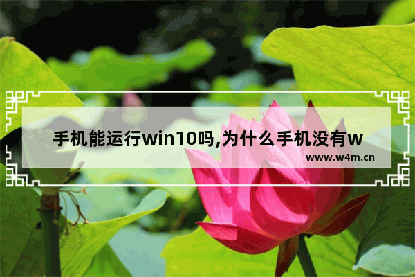 手机能运行win10吗,为什么手机没有windows系统